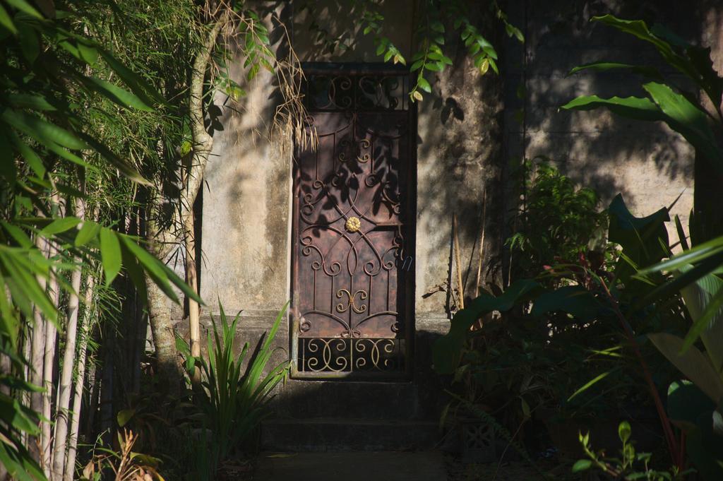 Taman Rahasia Tropical Sanctuary And Spa Ubud Exterior foto